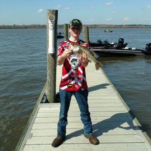 Meet your Posher, Chandler